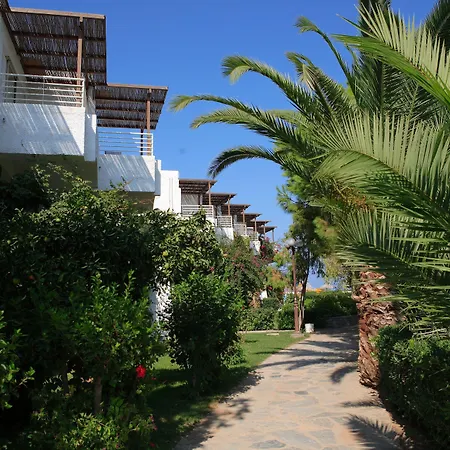 Apollonia Beach Resort & Spa-2